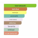 Belmoren Monti Erkek Parfümü - Görsel 3